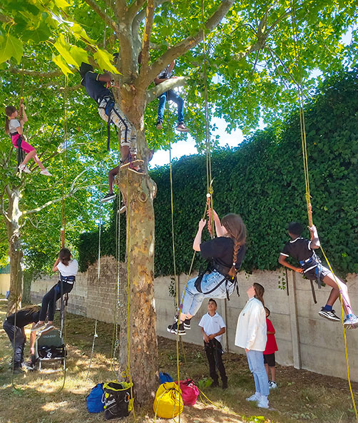 Découverte de l'accrobranche