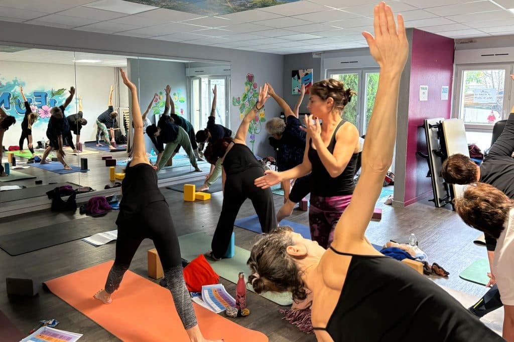 ateliers de yoga vinyasa salle des Alpilles
